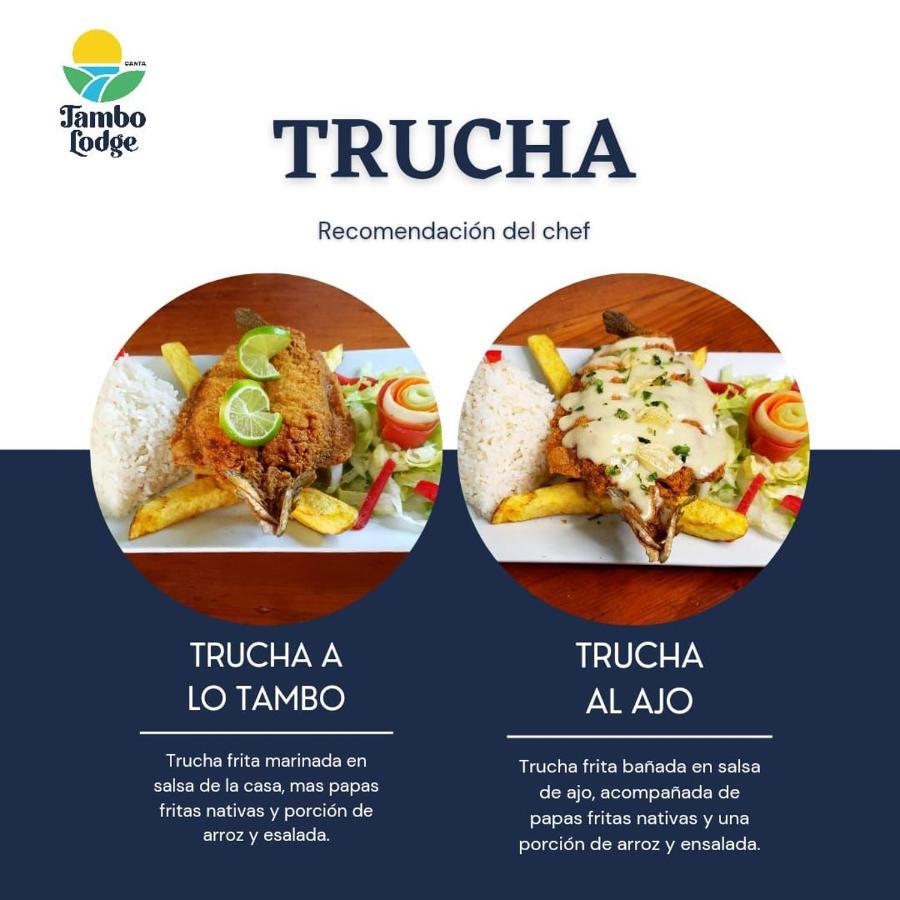 Tambo * Canta